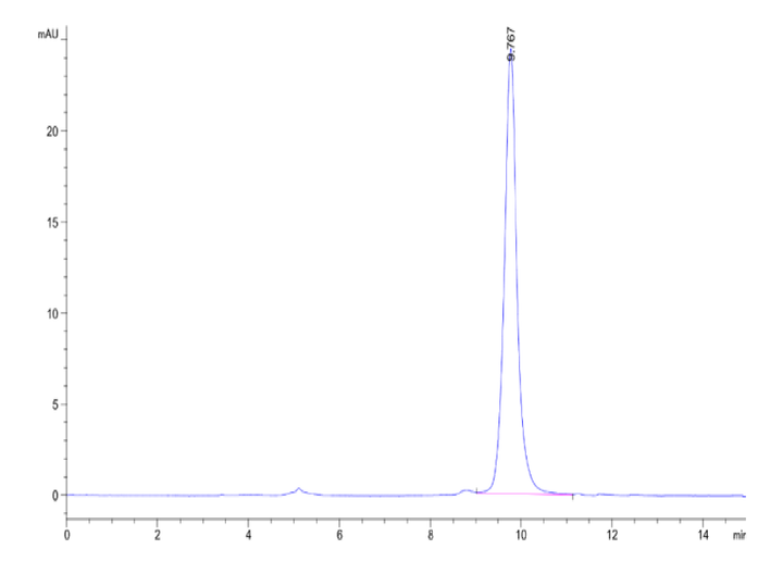 Human PRAK Protein (PRK-HB601)