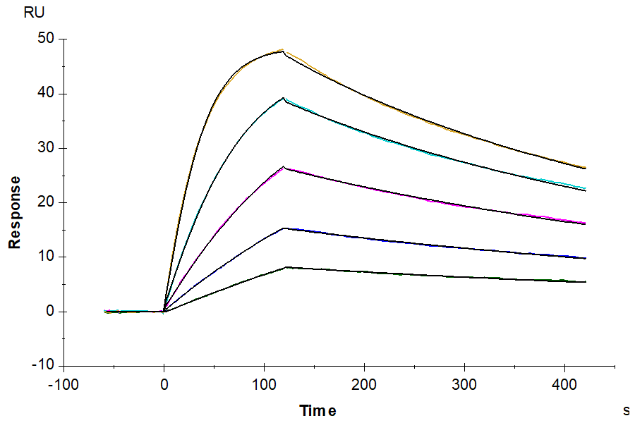 Human IL-18 R1/CD218a Protein, Ultra Low Endotoxin (IL8-HM2R1-UL)
