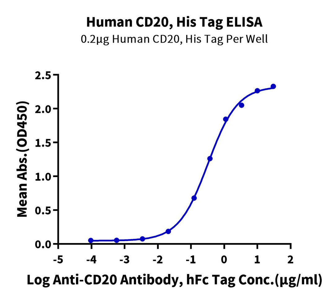 Human CD20/MS4A1 Protein (CD2-HE120)