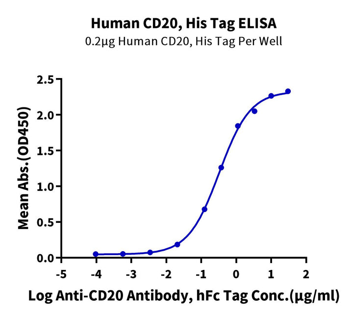 Human CD20/MS4A1 Protein (CD2-HE120)