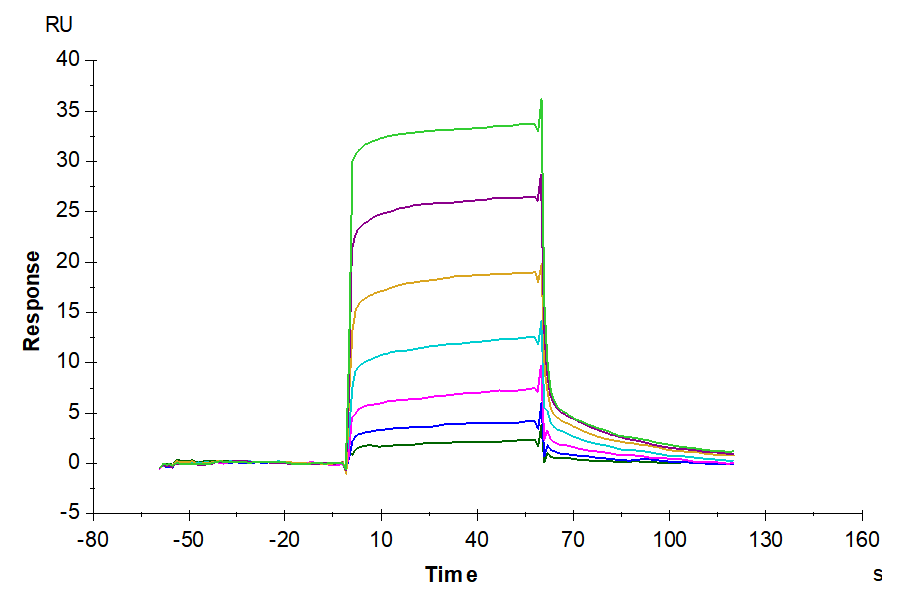 Canine PD-1/PDCD1 Protein (PD1-DM201)