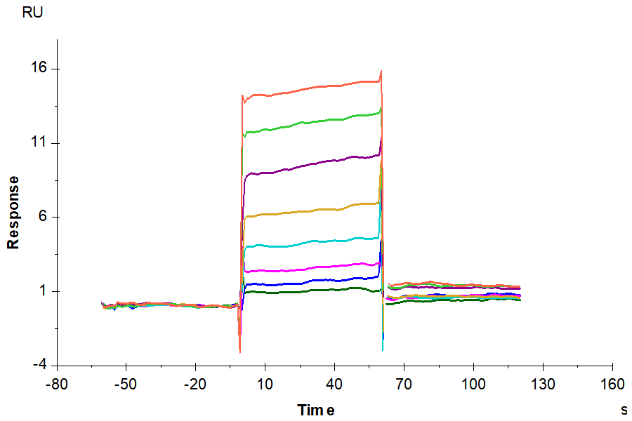 Human Oncostatin M/OSM Protein (ONM-HM101)