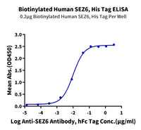 Biotinylated Human SEZ6 Protein (SEZ-HM406B)
