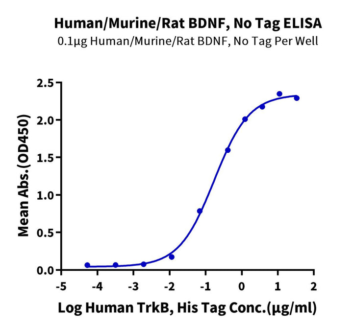 Human/Mouse/Rat BDNF-Protein (BDF-HE001)
