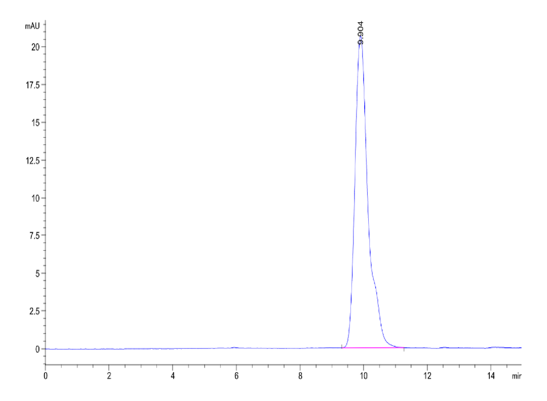 Human MSLN/Mesothelin Protein (MSL-HM181)