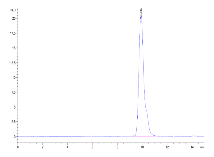 Human MSLN/Mesothelin Protein (MSL-HM181)