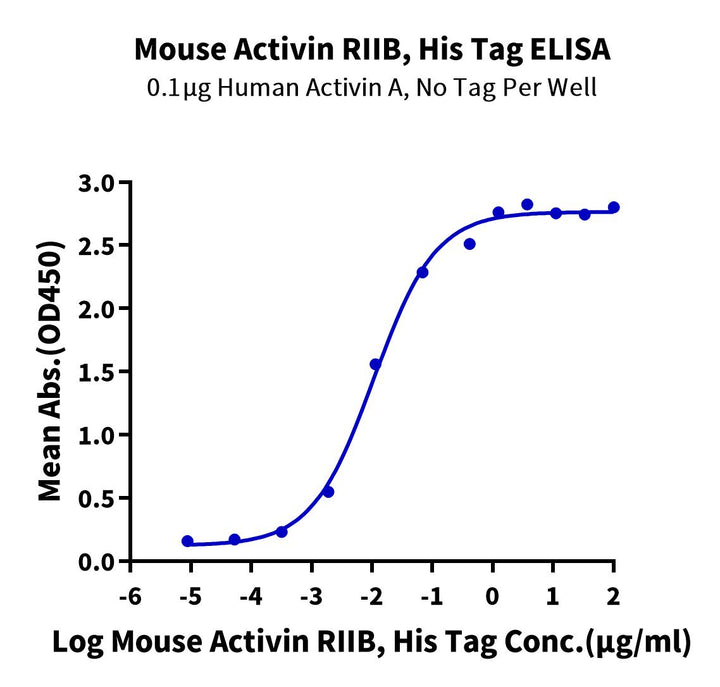 Mouse Activin RIIB/ACVR2B Protein (ARB-MM12B)