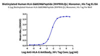 Biotinylated Human HLA-G&B2M&Peptide (RIIPRHLQL) Monomer Protein (HLG-HM41CB)