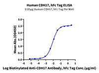 Human CDH17/Cadherin 17 Protein (CDH-HM217)
