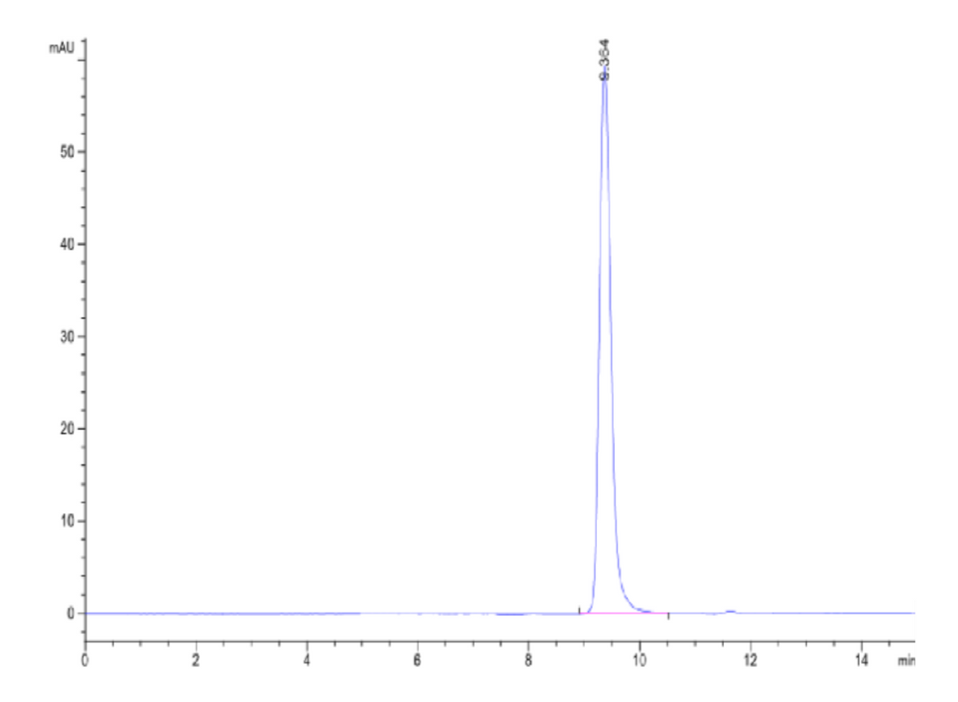 Biotinylated Human HLA-A*02:01&B2M&MAGE-A2 (KMVELVHFL) Monomer Protein (MHC-HM460B)