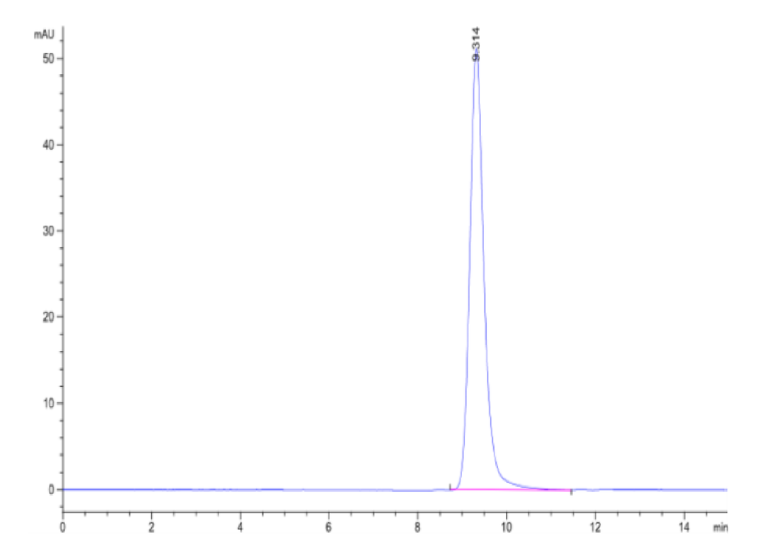 Human HLA-A*11:01&B2M&RASL11B (AVVGASGVGK) Monomer Protein (MHC-HM462)