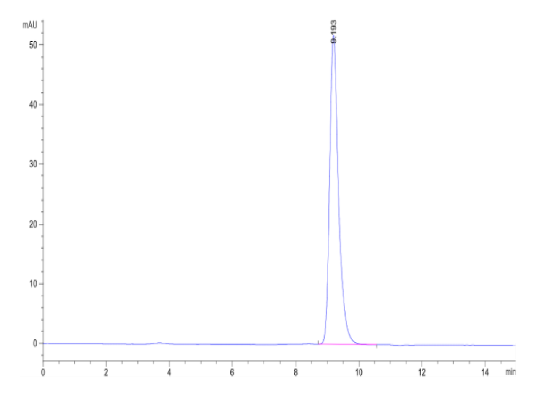 Biotinylated Human HLA-A*11:01&B2M&RASL11B (AVVGASGVGK) Monomer Protein (MHC-HM462B)