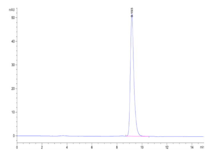 Biotinylated Human HLA-A*11:01&B2M&RASL11B (AVVGASGVGK) Monomer Protein (MHC-HM462B)