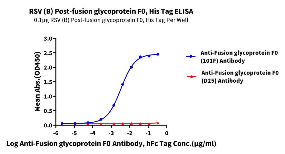 HRSV (B, strain 18537) Post-fusion glycoprotein F0 Protein (RSV-VM1PB)