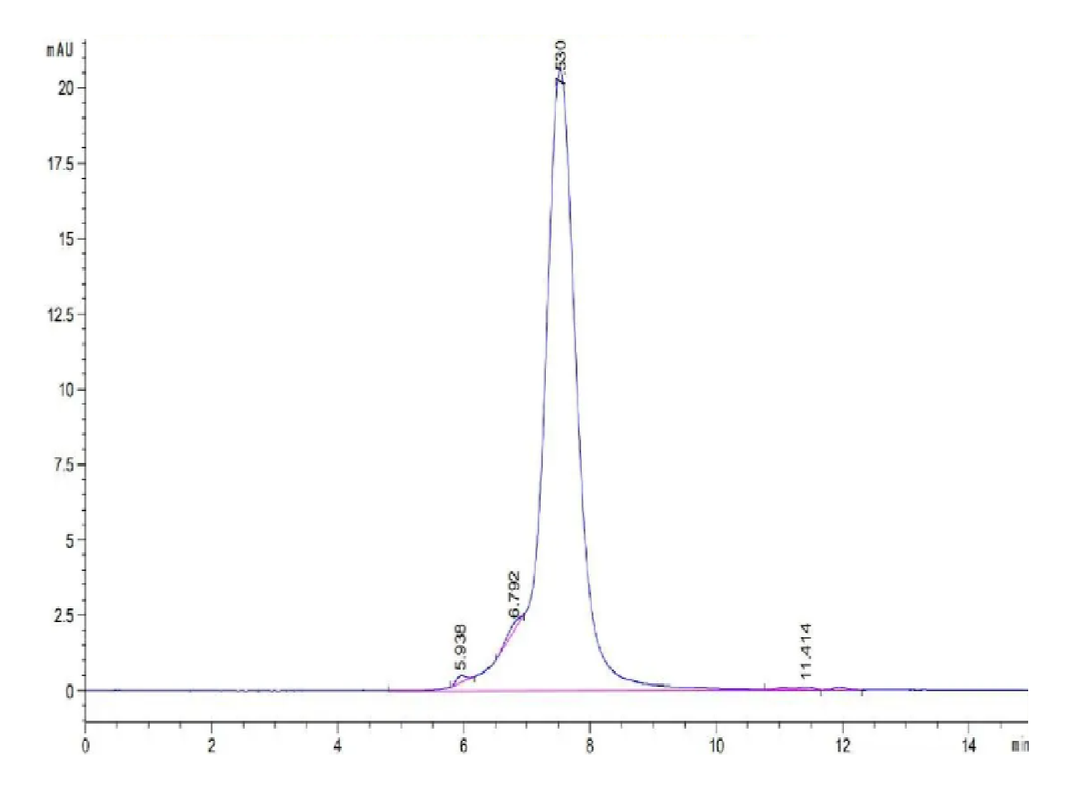 Mouse FLT3/Flk-2 Protein (FLT-MM230)