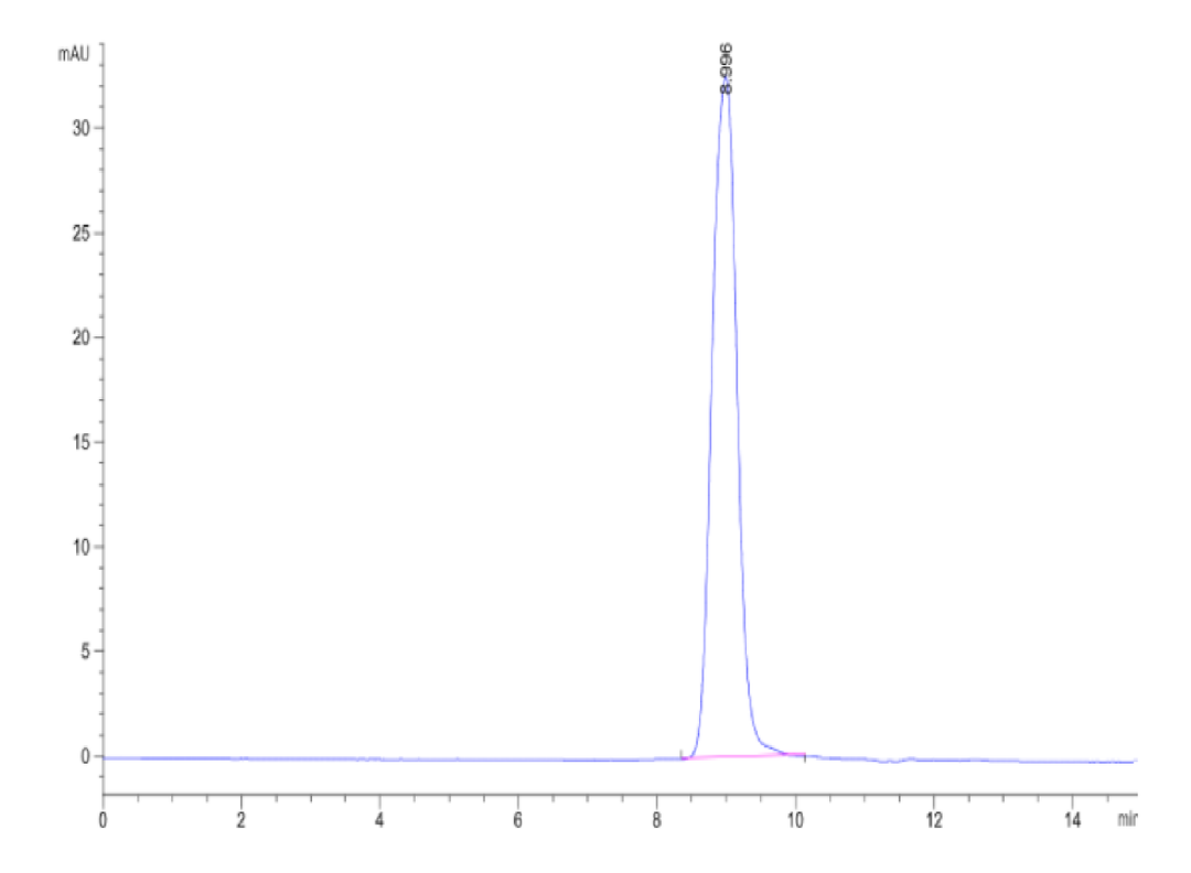 Human KLKB1 Protein (KLK-HM1B1)