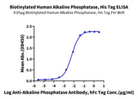 Biotinylated Human Alkaline Phosphatase (Placental type) /ALPP Protein (Primary Amine Labeling) (APE-HM102B)