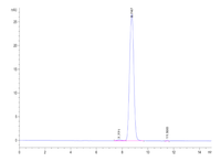 SEC-HPLC chromatogram of purified protein showing a main peak at 8.747 minutes with minor peaks at 7.771 and 11.500 minutes, analyzed for sample purity.