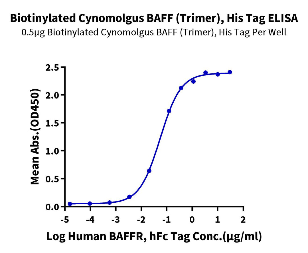 Biotinylated Cynomolgus BAFF/TNFSF13B/CD257 Trimer Protein (BAF-CM412B)