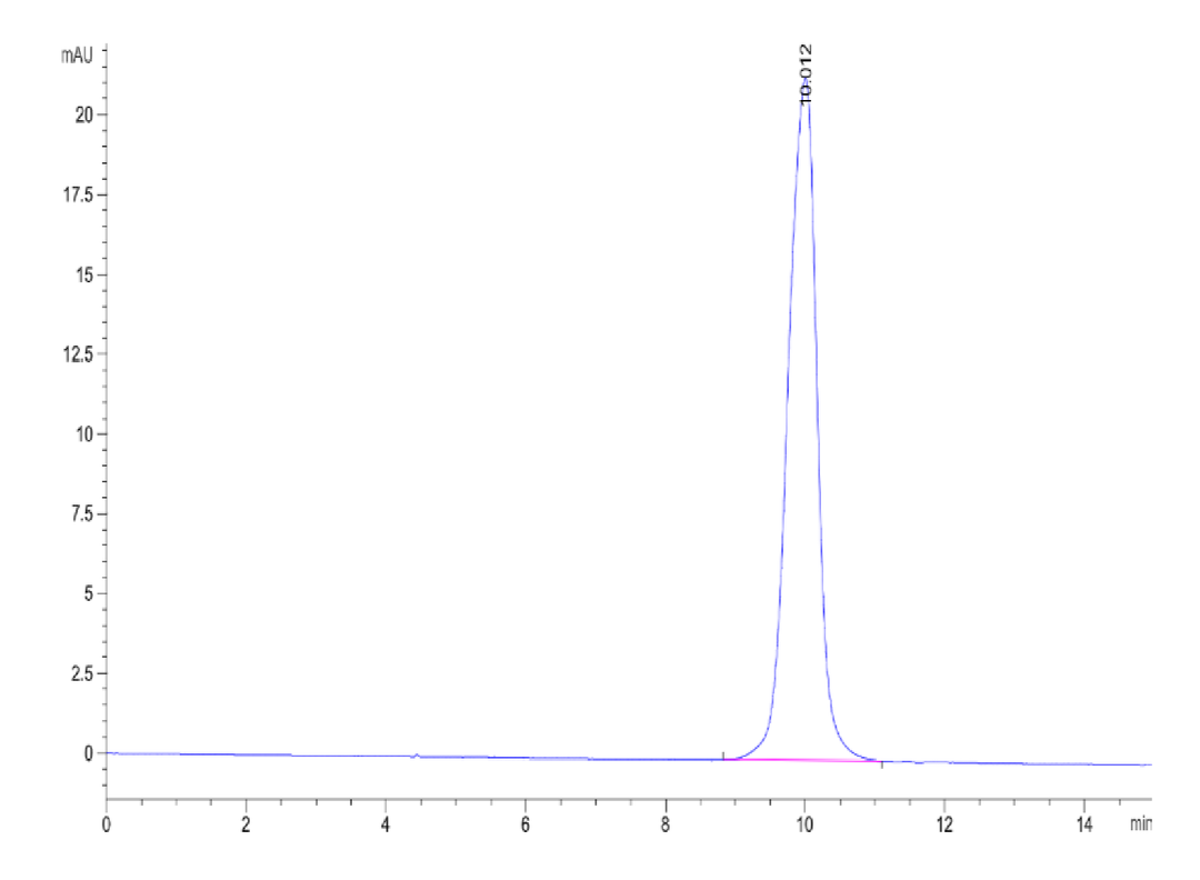 Human ACVR1B/Activin RIB Protein (ALK-HM104)