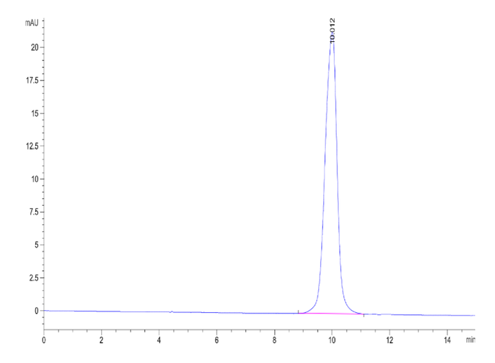 Human ACVR1B/Activin RIB Protein (ALK-HM104)