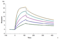 Human CCR7 Protein-Nanodisc (CCR-HM107)