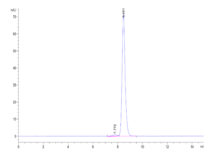 Human ACVR1/Activin RI Protein (ALK-HM202)