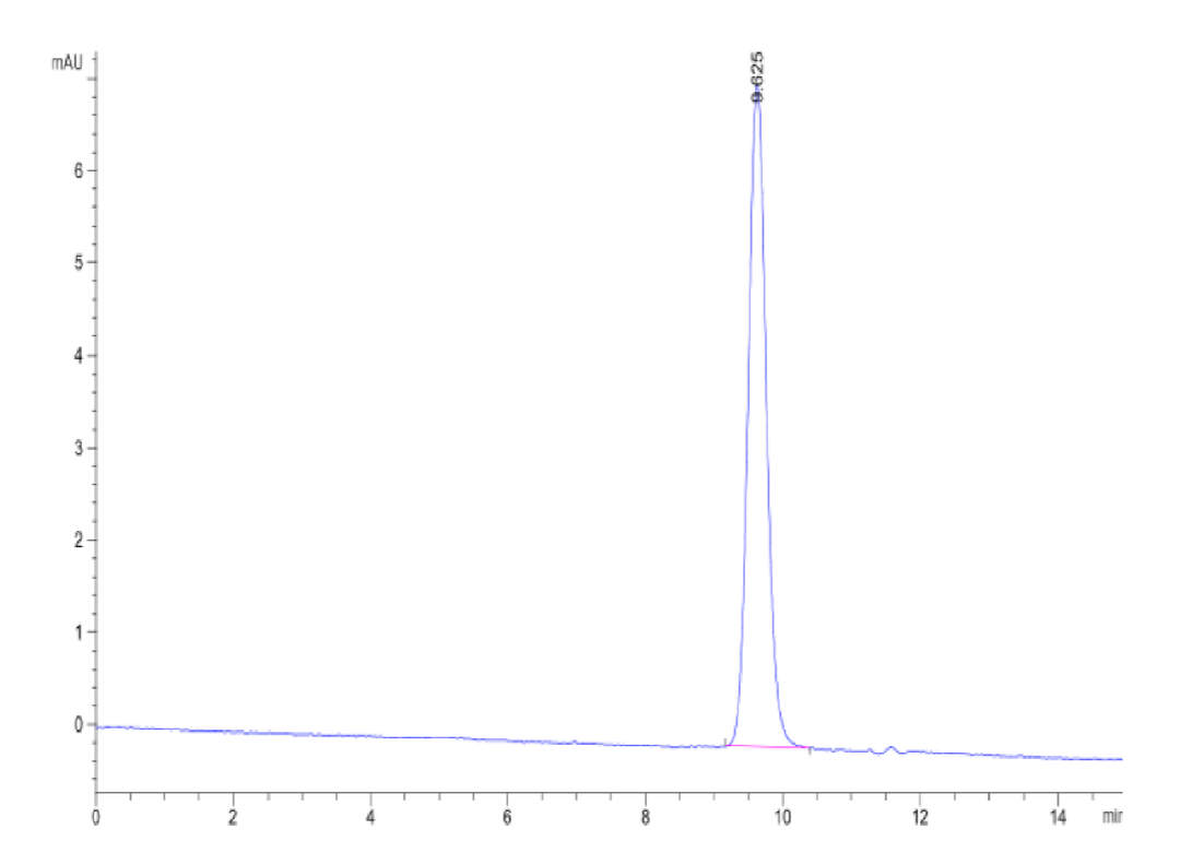 Canine IL-31 Protein (IL3-DM101)