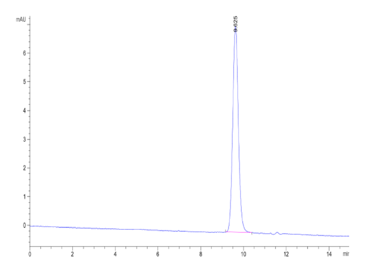 Canine IL-31 Protein (IL3-DM101)