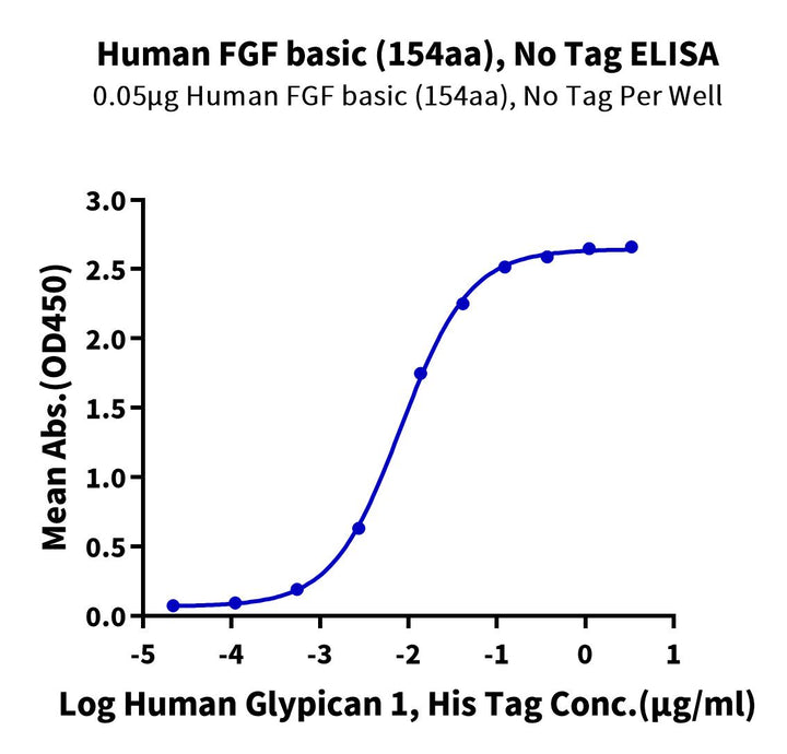 Human FGF basic (154aa) Protein (FGF-HE002)