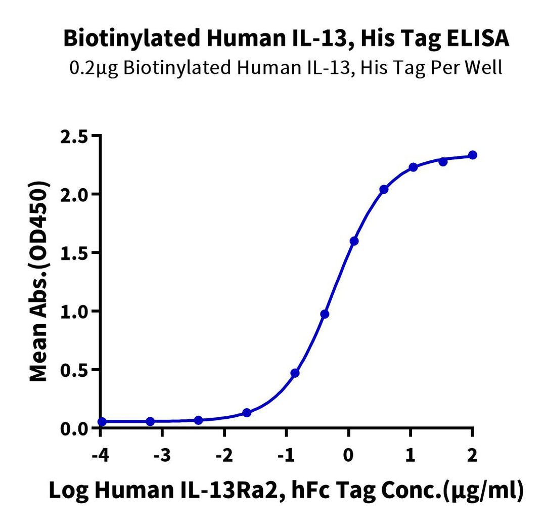 Biotinylated Human IL-13 Protein (IL1-HM413B)