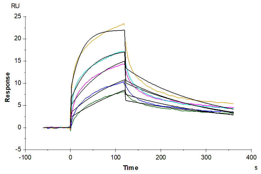 Biotinylated Human GPRC5D Protein-Nanodisc (GPR-HM45PB)