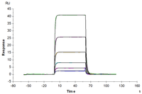 Human PD-1/PDCD1 Protein (PD1-HM101)