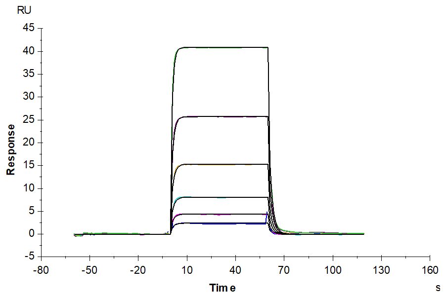Human PD-1/PDCD1 Protein, Ultra Low Endotoxin (PD1-HM101-UL)