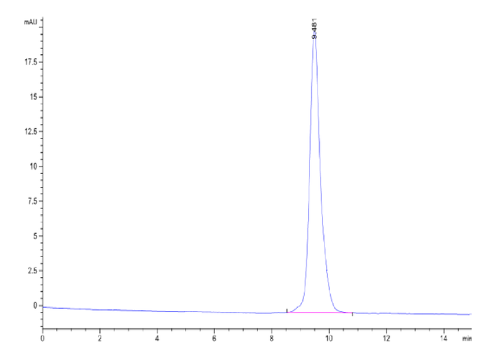 Human MSLN/Mesothelin Protein (MSL-HM4D1)