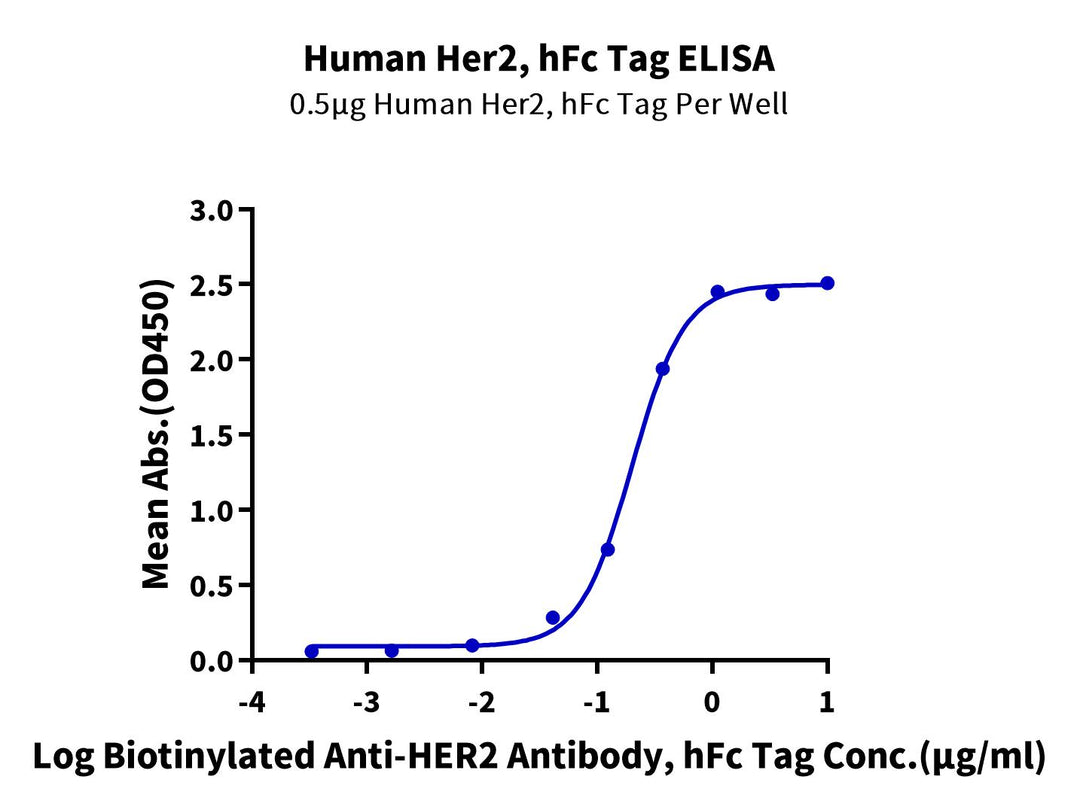 Human Her2/ErbB2 Protein (HER-HM202)