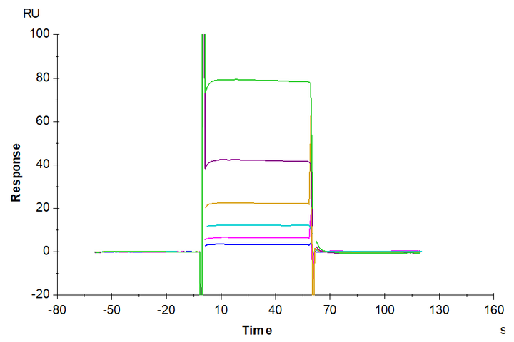 Biotinylated Human/Cynomolgus/Rhesus macaque CD28 Protein (CD8-HM428B)