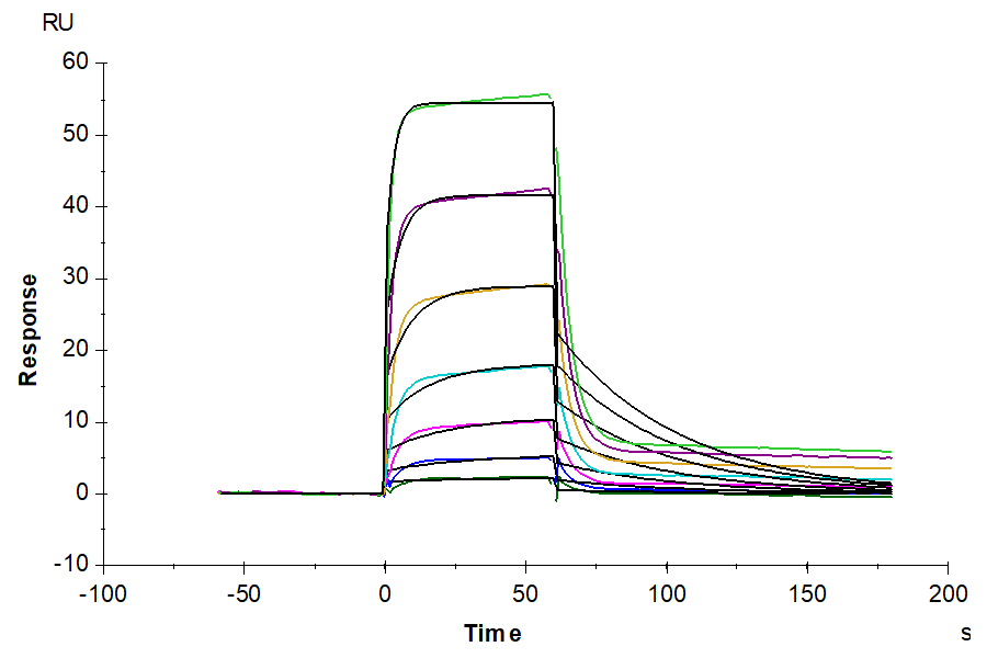 Human HLA-A*02:01&B2M&AFP (FMNKFIYEI) Tetramer Protein, Ultra Low Endotoxin (MHC-HM407T-UL)