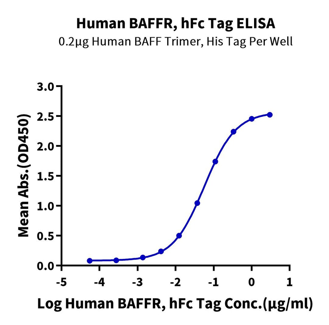 Human BAFFR/TNFRSF13C Protein (BAF-HM201)