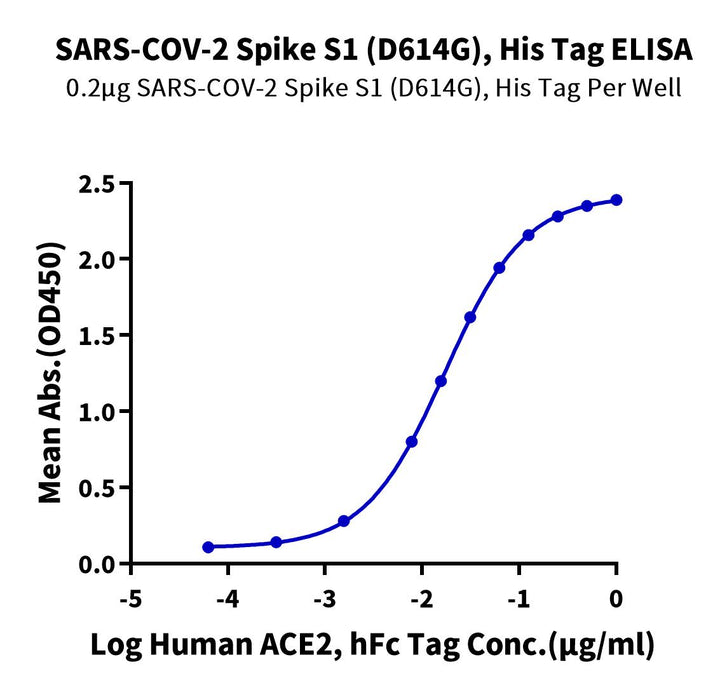 SARS-COV-2 Spike S1 (D614G) Protein (COV-VM4SG)