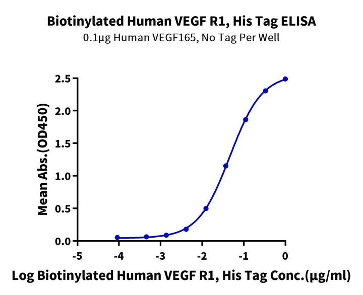 Biotinylated Human VEGF R1/FLT-1 Protein (VGF-HM4R1B)