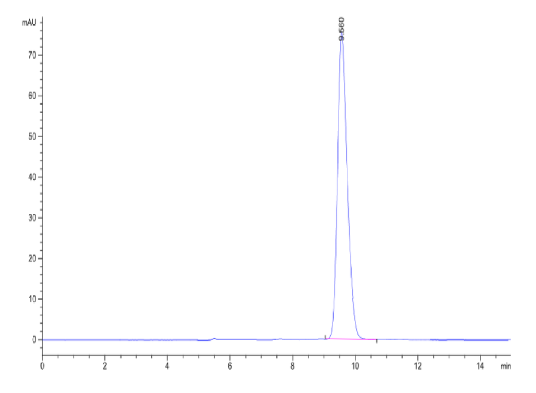 Human GIPR Protein (GIP-HM40R)