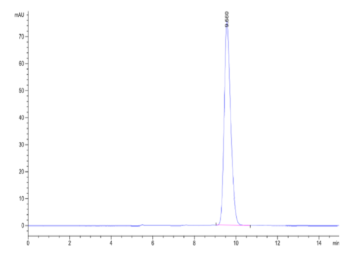 Human GIPR Protein (GIP-HM40R)