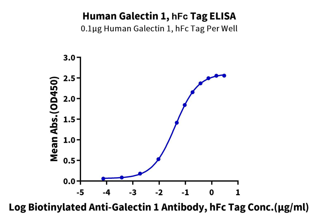 Human Galectin 1 Protein (GAL-HM201)