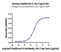 Human Kallikrein 5/KLK5 Protein (active form) (KLK-HM105)