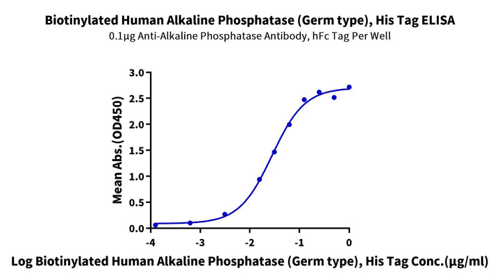 Biotinylated Human Alkaline Phosphatase (Germ type) /ALPG Protein (APE-HM403B)