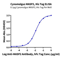 Cynomolgus MASP2 Protein (MSP-CE102)