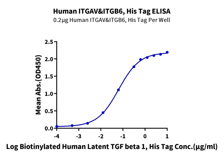 Human Integrin alpha V beta 6 (ITGAV&ITGB6) Heterodimer Protein (ITG-HM4V6)