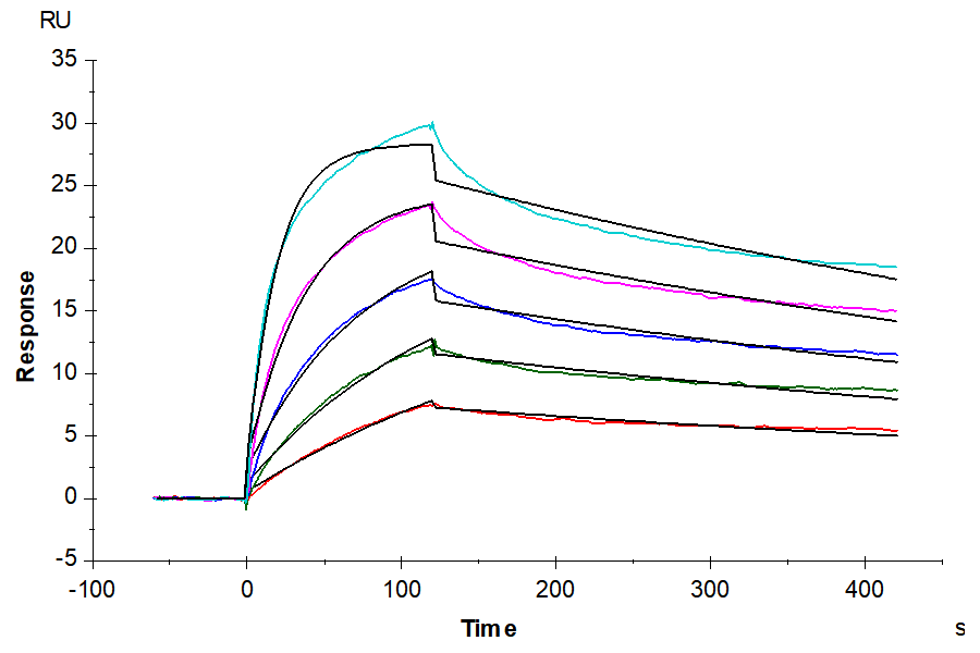 Human A2AR Protein-Nanodisc (A2R-HM1N1)