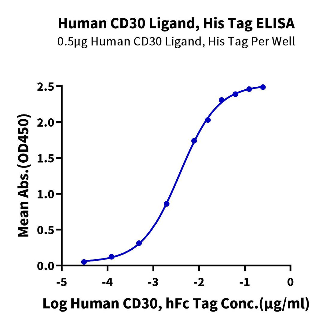 Human CD30 Ligand/TNFSF8 Protein (CD3-HM10L)